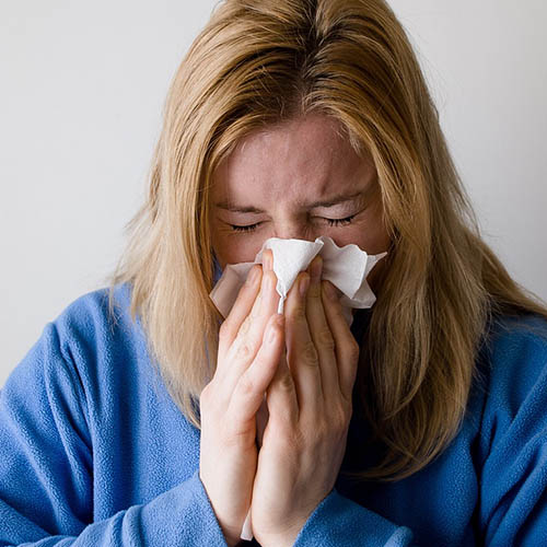 Vue interieure de la Pharmacie de la Mairie